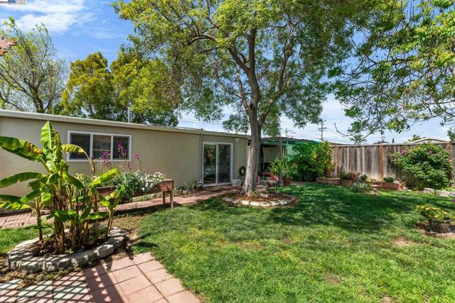 6364 Noel Ave, Newark CA: https://media.crmls.org/mediaz/e4d8b033-0829-4fd5-afaa-5f399ef04076.jpg
