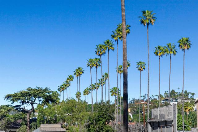 Detail Gallery Image 38 of 55 For 5750 Hollywood Bld #232,  Los Angeles,  CA 90028 - 1 Beds | 1 Baths