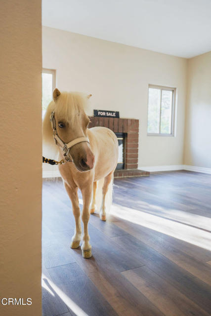 2321 Pima Lane, Ventura CA: https://media.crmls.org/mediaz/e4e8dde4-cdf8-417c-9c54-8d1a274a191f.jpg