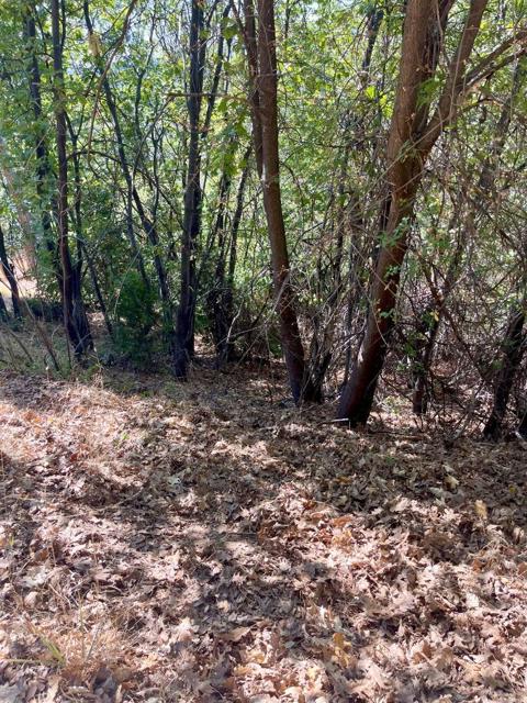 137 Deerhaven Drive, Tuolumne CA: https://media.crmls.org/mediaz/e4e90e6d-2283-4423-b77b-2e8a93383e37.jpg