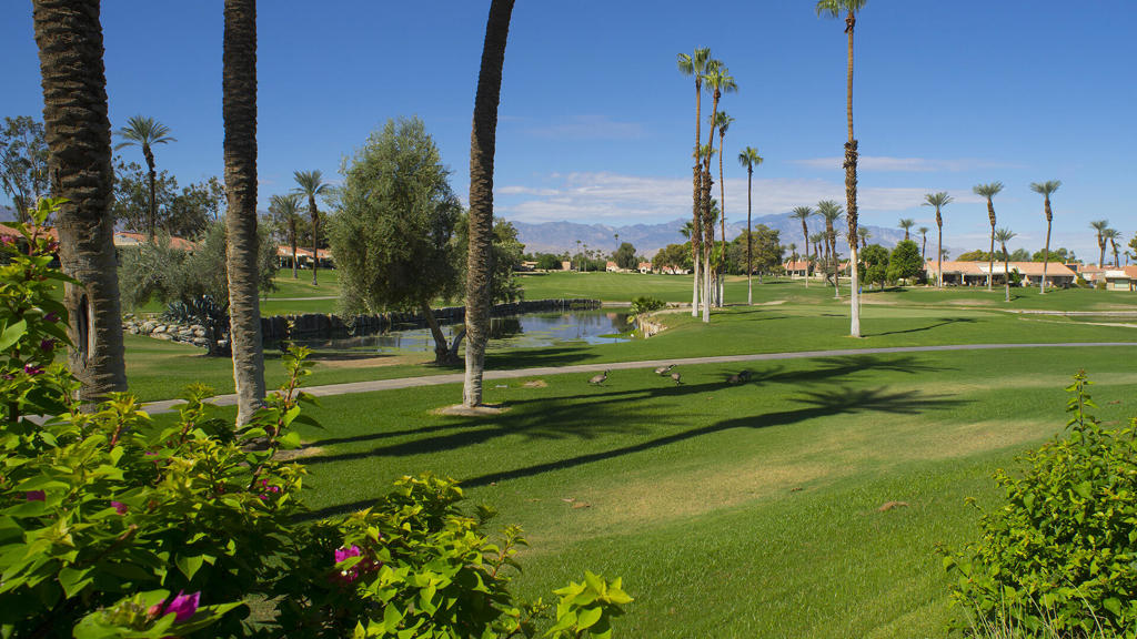 MLS #219136473DA image #20