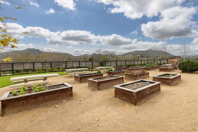 Detail Gallery Image 64 of 66 For 227 Canopy Trails Place, Fallbrook,  CA 92028 - 4 Beds | 2/1 Baths