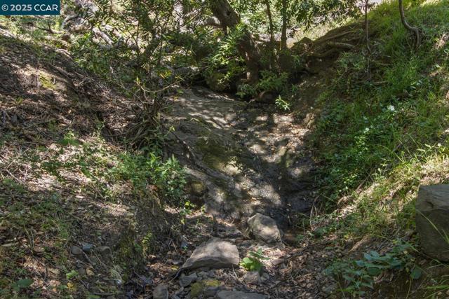 37 La Madronal, Orinda CA: https://media.crmls.org/mediaz/e50bf0df-b41c-4385-896a-f5beb7184e2c.jpg