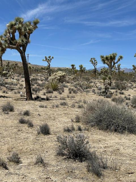 0 Sun Oro Road Road, Yucca Valley CA: https://media.crmls.org/mediaz/e50cd594-0019-4219-b504-c8000a9b24b8.jpg