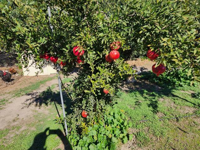 3719 N Hart Road, Modesto CA: https://media.crmls.org/mediaz/e50f0d6b-66b0-4506-adf9-0ba41dfc95b8.jpg