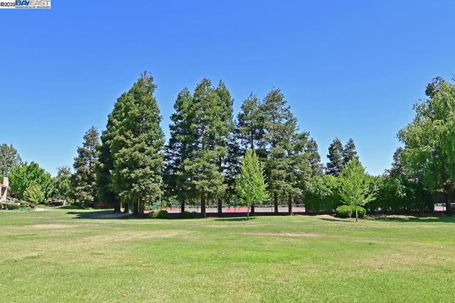 476 Mulqueeney St, Livermore CA: https://media.crmls.org/mediaz/e51292fb-8789-49d7-b899-a19684f4116b.jpg