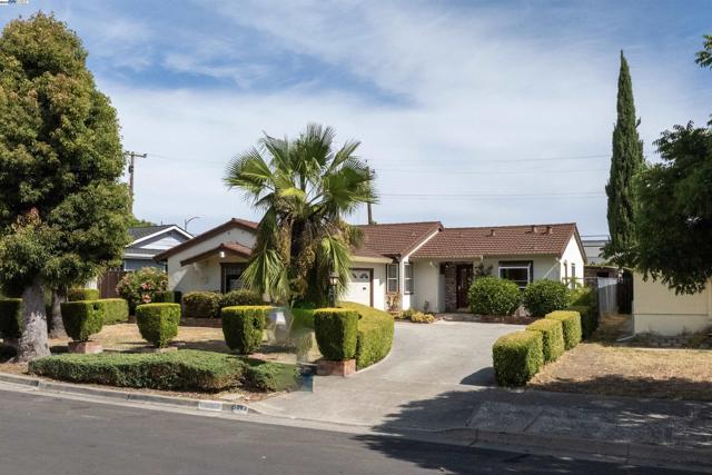 5083 Miramar, San Jose CA: https://media.crmls.org/mediaz/e517cfd1-d2b7-4bc2-92b9-bbf0834bdf1d.jpg
