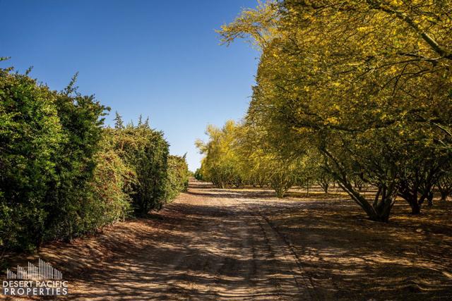 82501 65th Avenue, Thermal CA: https://media.crmls.org/mediaz/e527821f-bf6b-4944-86ac-74bb283a8ab9.jpg