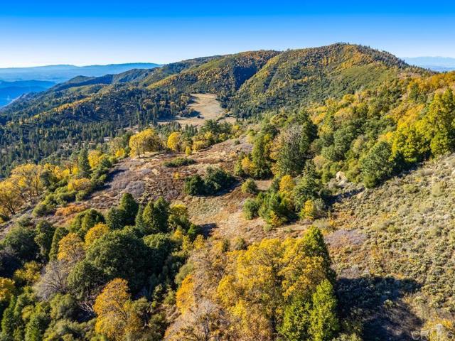 Detail Gallery Image 24 of 33 For 0 State Park Rd, Palomar Mountain,  CA 92060 - – Beds | – Baths