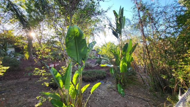 157 Los Banditos, Ramona, California 92065, 3 Bedrooms Bedrooms, ,2 BathroomsBathrooms,Single Family Residence,For Sale,Los Banditos,240023123SD