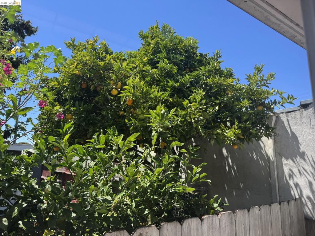 https://media.crmls.org/mediaz/e539b688-cdcc-408d-a45a-e3cafd97e783.jpg?preset=X-Large