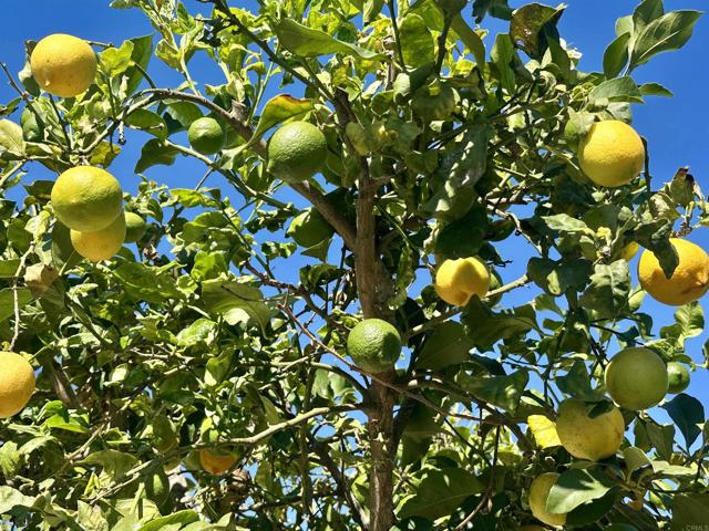 Detail Gallery Image 55 of 61 For 2445 S. Stage Coach Ln, Fallbrook,  CA 92028 - 4 Beds | 3 Baths