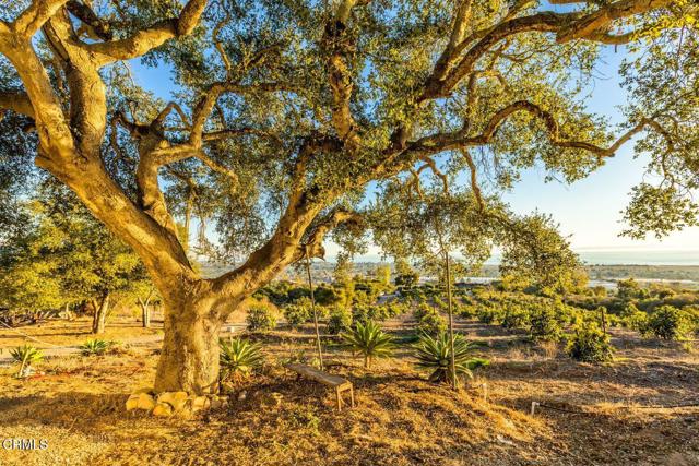4488 Foothill Road, Carpinteria CA: https://media.crmls.org/mediaz/e547b323-6413-4df8-8f2c-237b173ae3f3.jpg