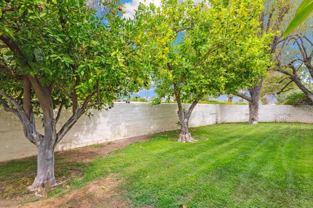 1366 E Verbena Drive, Palm Springs CA: https://media.crmls.org/mediaz/e5487999-3dd5-44ab-bab2-1dd45ccfde63.jpg