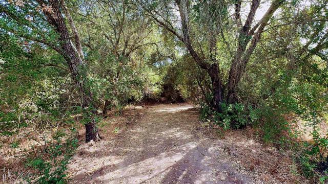 Detail Gallery Image 19 of 62 For De Luz Heights Rd, Fallbrook,  CA 92028 - – Beds | – Baths