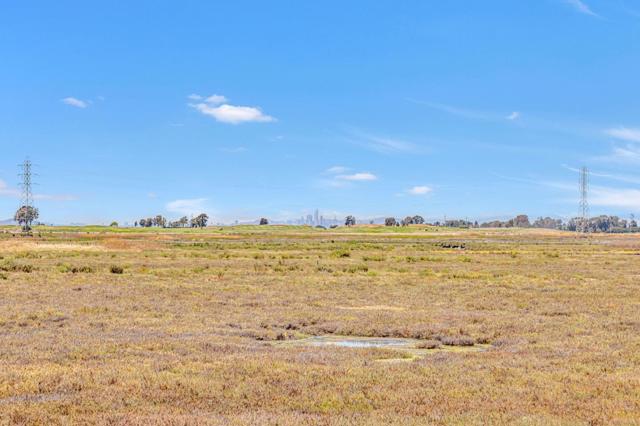 2213 Wigeon Court, San Leandro CA: https://media.crmls.org/mediaz/e551f8bf-2782-4643-9967-eaaa67af9c77.jpg