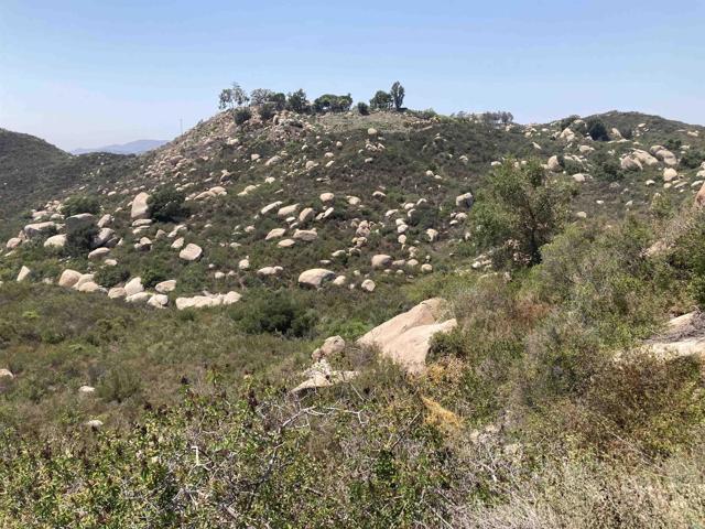 Detail Gallery Image 11 of 12 For Harris Truck Trail 41.36 Acres, Fallbrook,  CA 92028 - – Beds | – Baths