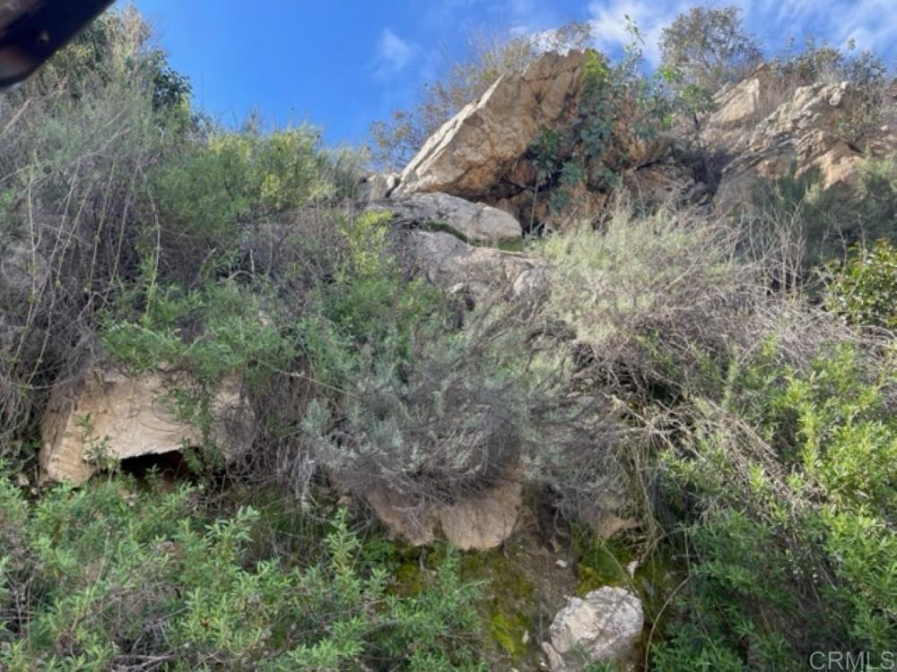 MLS #NDP2410587 image #18