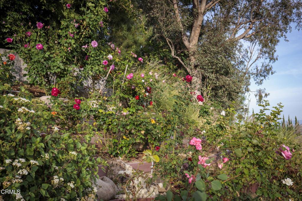 https://media.crmls.org/mediaz/e5646d78-1a03-4b5b-b427-6fc31c9d9257.jpg?preset=X-Large