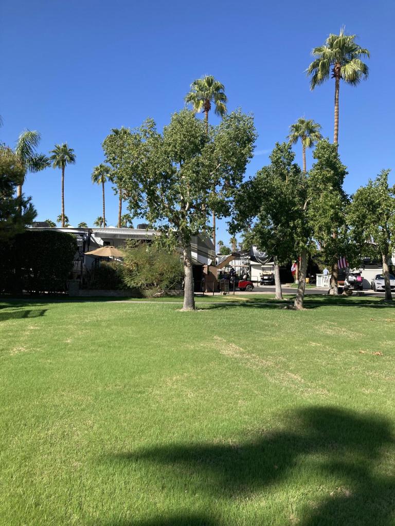 MLS #219135740DA image #8