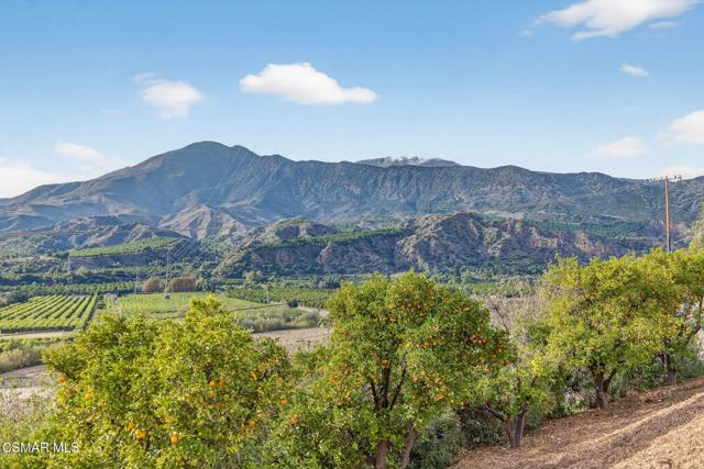 1560 Goodenough Road, Fillmore CA: https://media.crmls.org/mediaz/e579a23c-334f-4127-98b8-aa79c0fc7a49.jpg