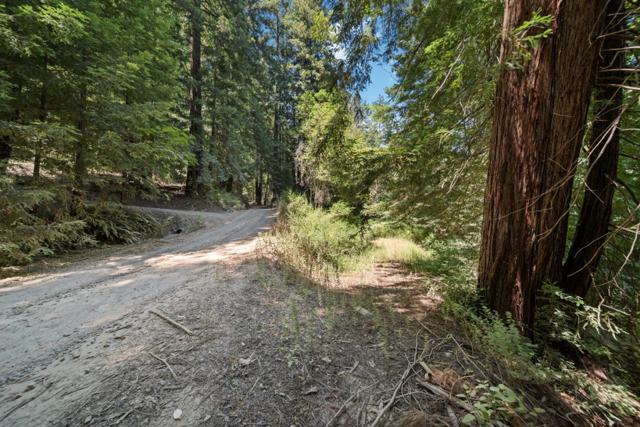 2305 Bear Canyon Road, Los Gatos CA: https://media.crmls.org/mediaz/e57fb093-96a1-4475-9415-5001c0e4efb3.jpg