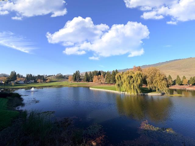 4478 Deer Ridge Rd, Danville CA: https://media.crmls.org/mediaz/e58a98c7-cebb-4799-bd4a-216b03b4b4d2.jpg