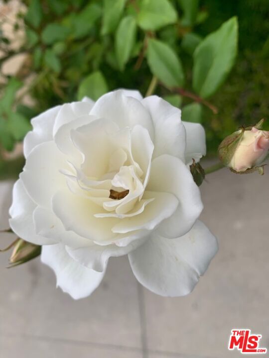 https://media.crmls.org/mediaz/e596b346-1007-4afd-9c3d-cf2929282bae.jpg?preset=X-Large