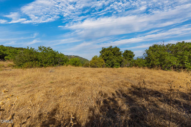 Detail Gallery Image 15 of 22 For 10331 Sulphur Mountain Rd, Ojai,  CA 93023 - – Beds | – Baths