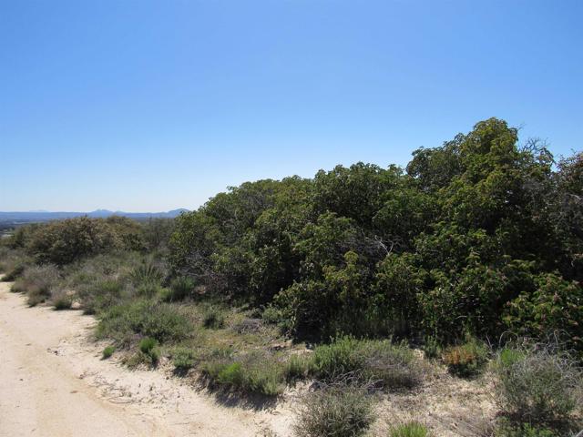 Detail Gallery Image 8 of 29 For 80 Acres Vista Del Cielo Rd, Boulevard,  CA 91905 - – Beds | – Baths