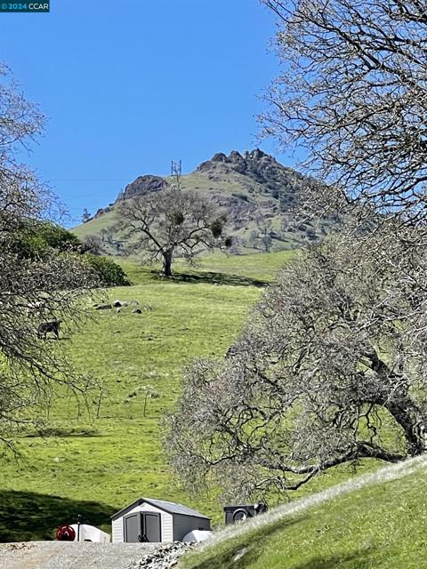 Image 57 of 60 For 1980 Curry Canyon Rd