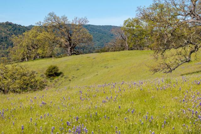 16 Long Ridge Trail (Lot 233), Carmel CA: https://media.crmls.org/mediaz/e5a3df60-54e5-487e-8b92-68a8458243df.jpg