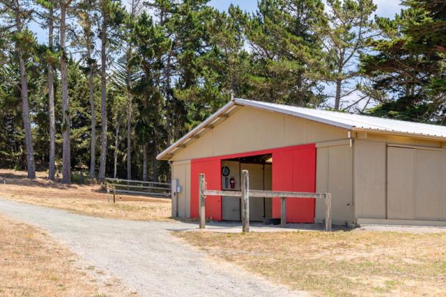 515 Bean Hollow Road, Pescadero CA: https://media.crmls.org/mediaz/e5a8884d-331f-40d9-afbe-0c149e4b73c8.jpg