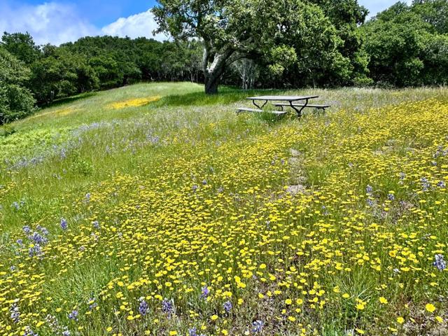 8 Corral Run, Carmel CA: https://media.crmls.org/mediaz/e5b1a1ed-02c5-43e5-a2e7-ad7183e86cea.jpg