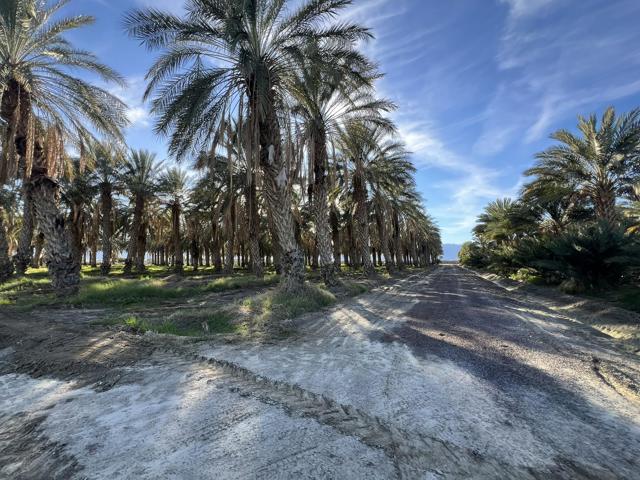 0 Nwc Pierce St & Ave 64, Thermal CA: https://media.crmls.org/mediaz/e5b85c6b-5c3d-4f3f-9ad5-1bee2bb83f5b.jpg