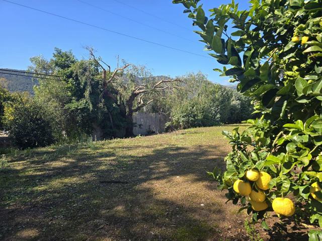 187 FORD ROAD, Carmel Valley CA: https://media.crmls.org/mediaz/e5ba9577-eb8b-4ac3-aae4-b7c0ed0014a5.jpg