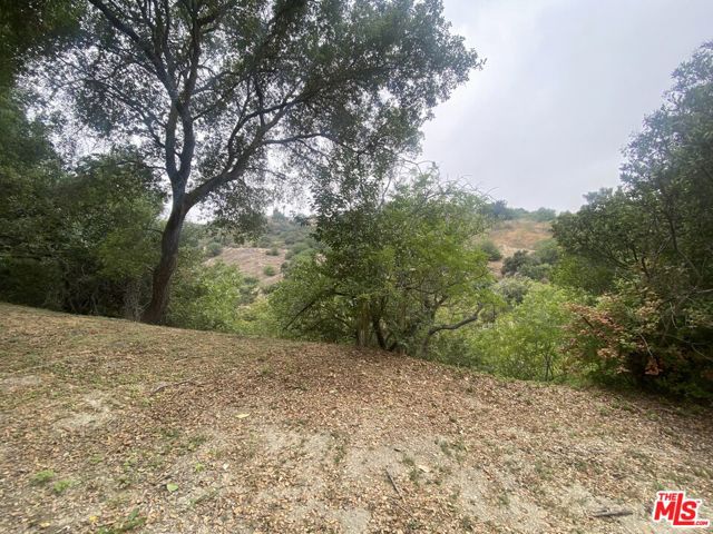 3806 N Glenridge Drive, Sherman Oaks CA: https://media.crmls.org/mediaz/e5bc3e70-cf63-4ede-810b-ff568de70369.jpg