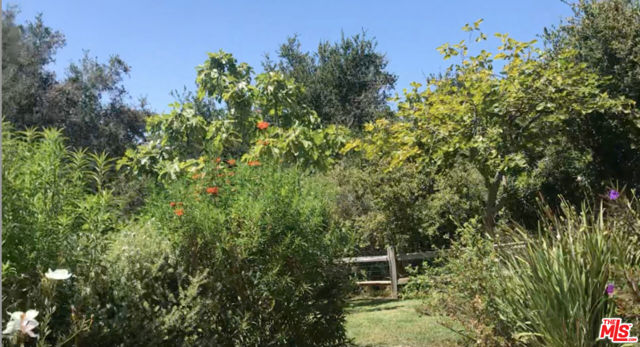 543 Radcliffe Avenue, Pacific Palisades CA: https://media.crmls.org/mediaz/e5c8f192-7f16-4498-a266-4fd54d771d62.jpg