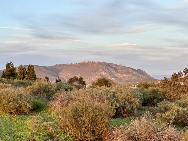 Image 6 of 23 For 0 Artesian Road