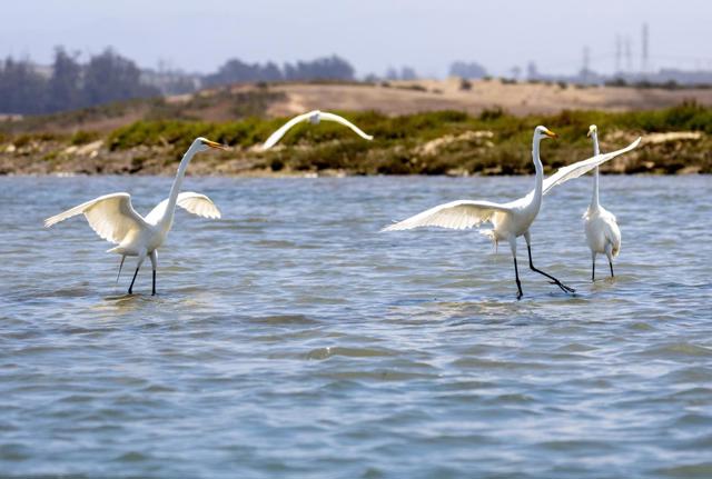 Image 19 of 23 For 967 Salinas Road