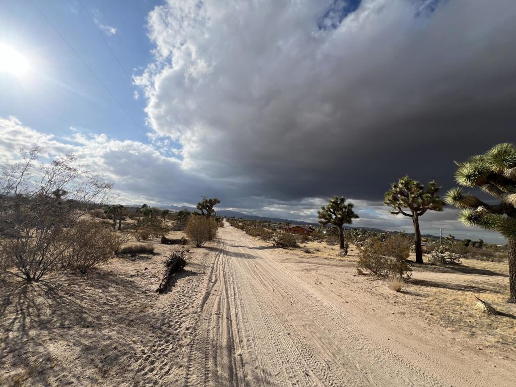 MLS #219138998DA image #10