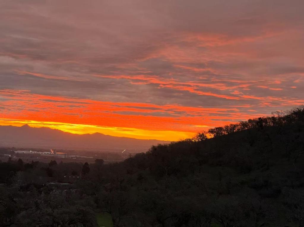 https://media.crmls.org/mediaz/e5d53171-9331-4070-91e7-e3a06bb6e14f.jpg?preset=X-Large
