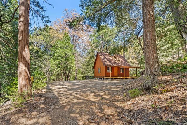 Detail Gallery Image 18 of 30 For 14 +/- Acres Palomar Divide Truck Trl, Palomar Mountain,  CA 92060 - – Beds | – Baths