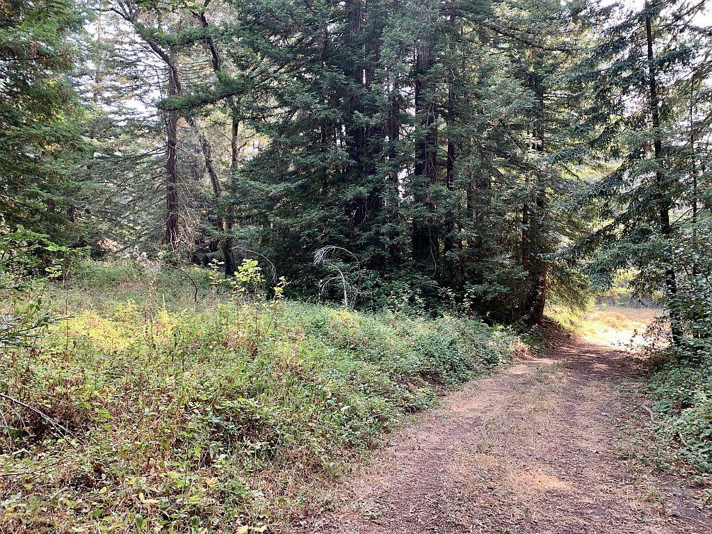 MLS #ML81810757 image #60