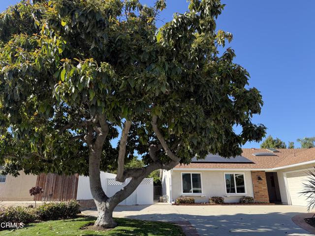 Detail Gallery Image 23 of 28 For 8345 Balboa St, Ventura,  CA 93004 - 4 Beds | 3 Baths