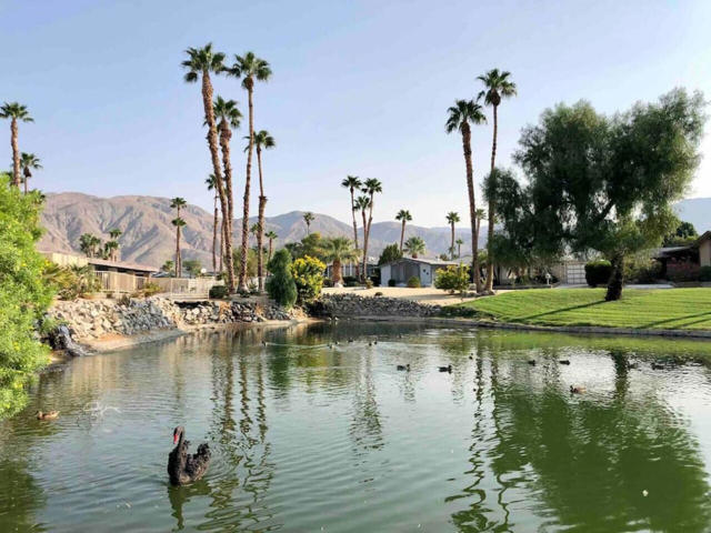 74711 Dillon Road, Desert Hot Springs CA: https://media.crmls.org/mediaz/e5f74f1c-6a74-4086-a8d5-87443d722826.jpg