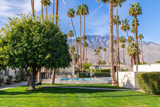 209 Desert Lakes Drive, Palm Springs CA: https://media.crmls.org/mediaz/e5f76925-74e2-4cbd-91c5-6a619952c26d.jpg