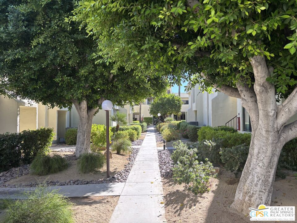 1655 E Palm Canyon Drive #307