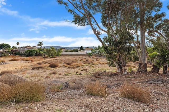 Detail Gallery Image 40 of 55 For 2205 Leon Ave, San Diego,  CA 92154 - 3 Beds | 2 Baths