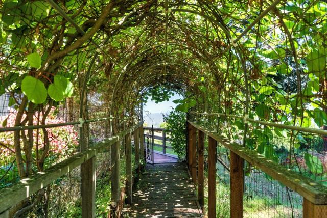 132 Pax Place Court, Aptos CA: https://media.crmls.org/mediaz/e614765f-c1d1-4bcf-a448-ad30c91e17ac.jpg